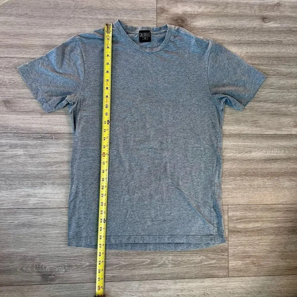 Caliville‎ Women's Gray Single Stitch Crew Neck Short Sleeve T-Shirt Size Medium - Picture 1 of 4